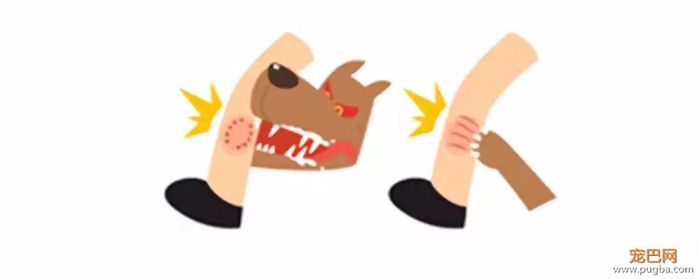 狂犬病致死率100%！这些救命知识一定要早知道-3.jpeg