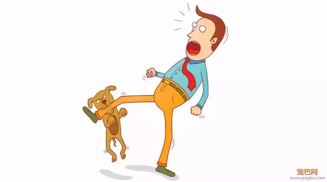狂犬病致死率100%！这些救命知识一定要早知道-6.jpeg