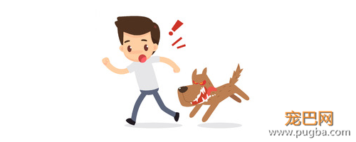 狂犬病致死率100%！这些救命知识一定要早知道-7.png