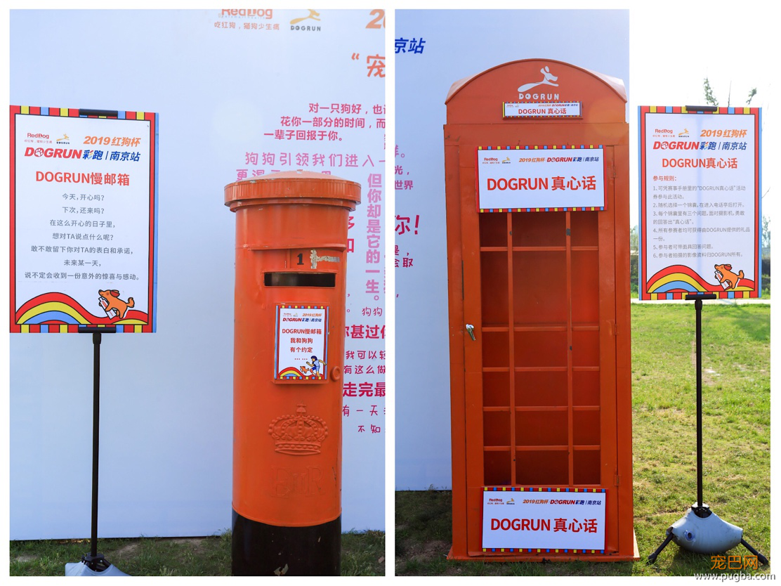 红狗杯2019DOGRUN彩跑起航，南京站精彩纷呈！-4.png