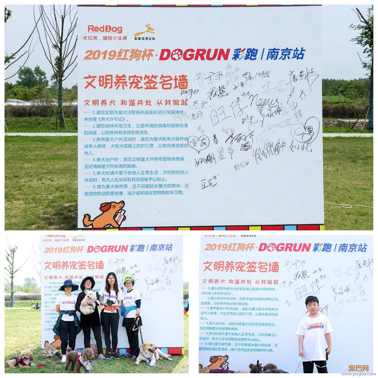 红狗杯2019DOGRUN彩跑起航，南京站精彩纷呈！-5.png