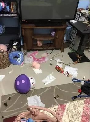 三个超级实用训狗方法，还你一只乖狗狗-1.jpeg