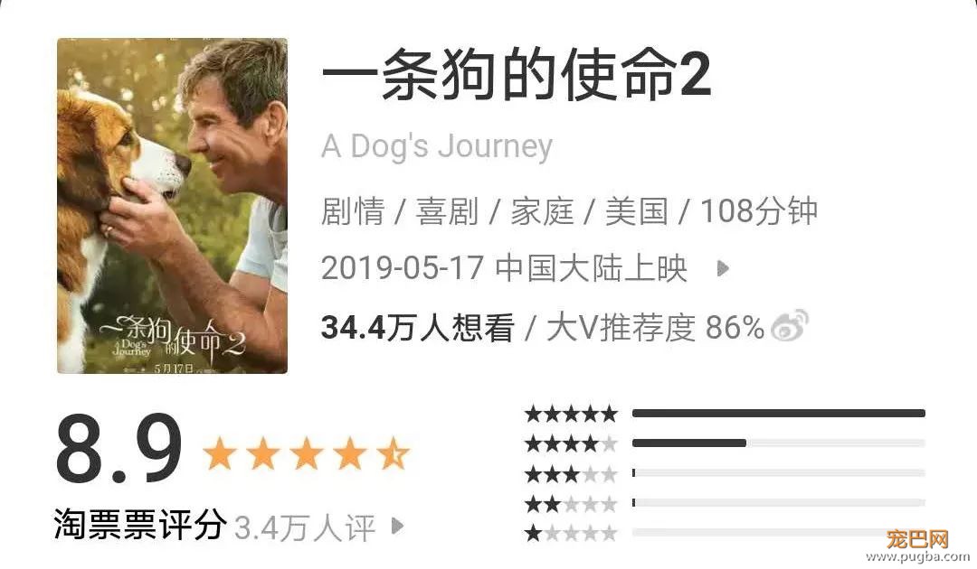 你相信狗狗离世后，还会回来吗？-6.jpeg