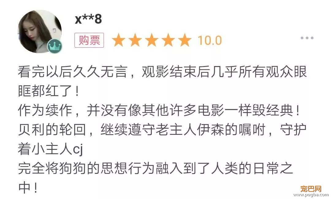 你相信狗狗离世后，还会回来吗？-9.jpeg