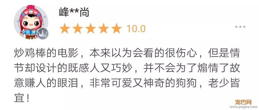 你相信狗狗离世后，还会回来吗？-10.jpeg