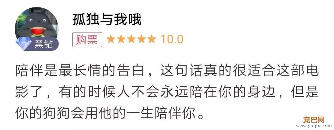 你相信狗狗离世后，还会回来吗？-8.jpeg