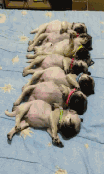 生活好惬意呀~-2.gif