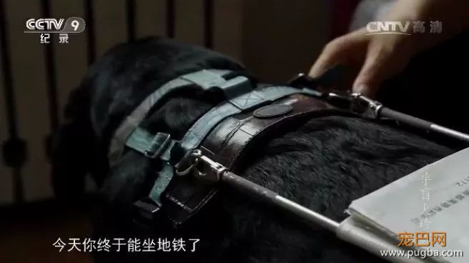 为了北京地铁上的一平米，它努力了一年半-1.jpeg