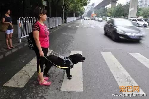 为了北京地铁上的一平米，它努力了一年半-7.jpeg
