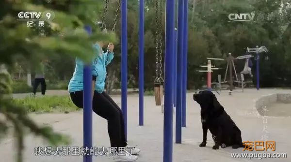 为了北京地铁上的一平米，它努力了一年半-5.jpeg