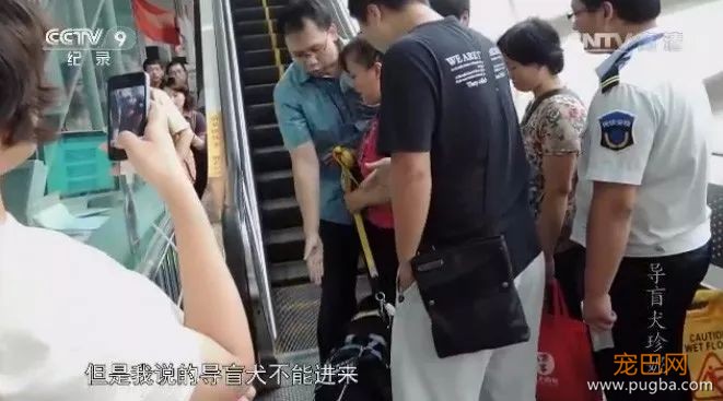 为了北京地铁上的一平米，它努力了一年半-11.jpeg