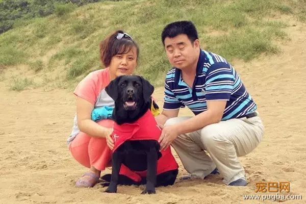 为了北京地铁上的一平米，它努力了一年半-15.jpeg