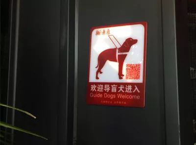 为了北京地铁上的一平米，它努力了一年半-13.jpeg