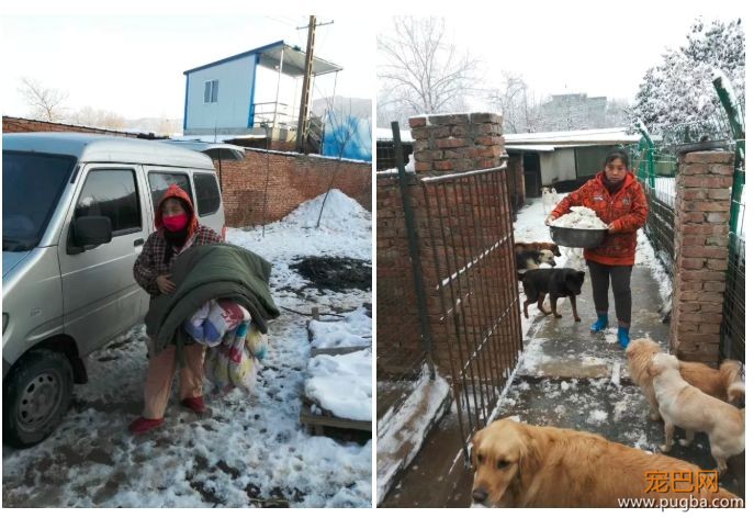 ​金毛二哈即将被送往屠狗场，被一女子拦住了：人走，狗留下……-12.jpeg
