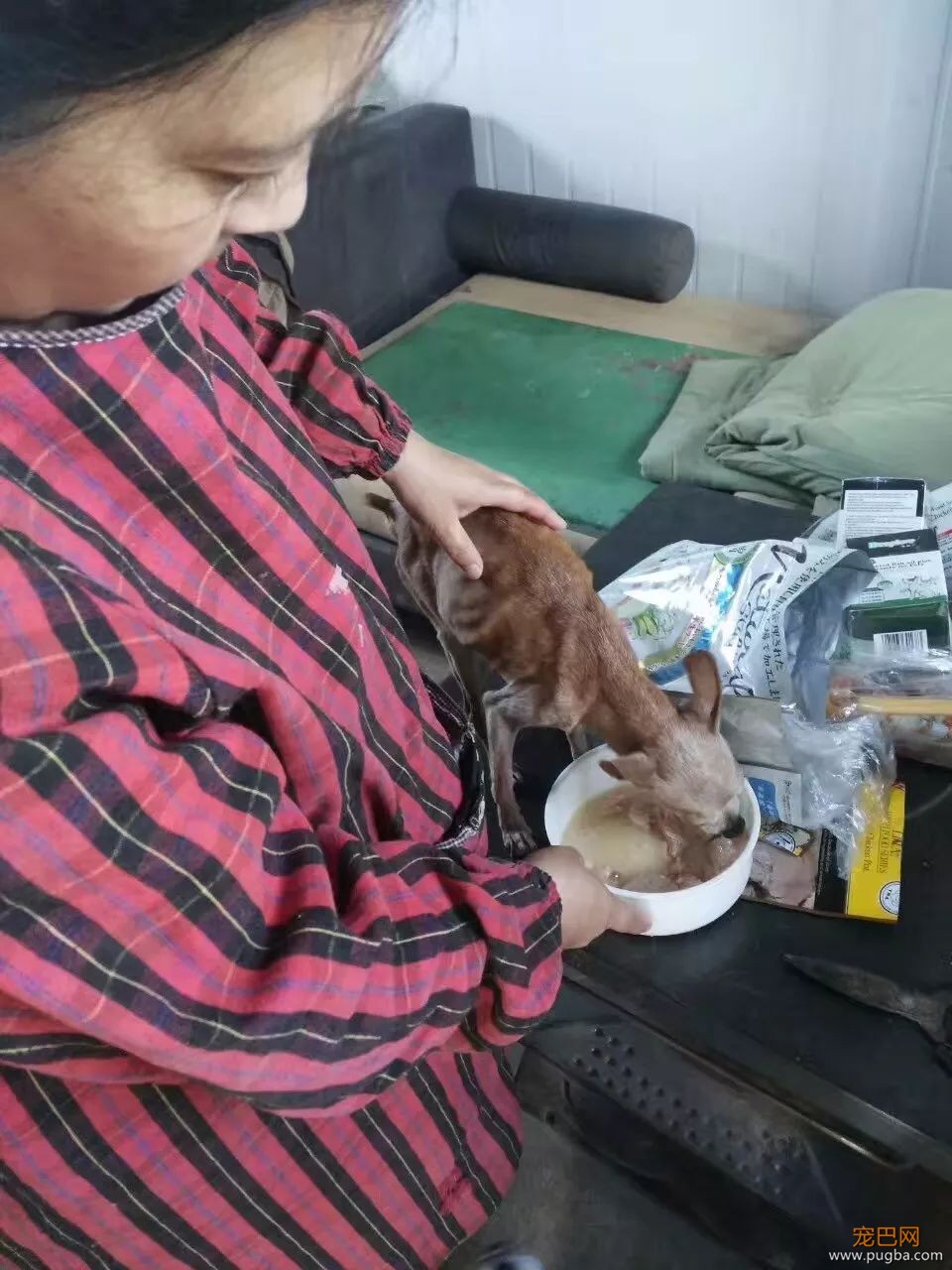 ​金毛二哈即将被送往屠狗场，被一女子拦住了：人走，狗留下……-15.jpeg