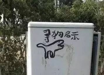 别贴了，这样的寻狗启示根本找不到狗！-3.jpeg