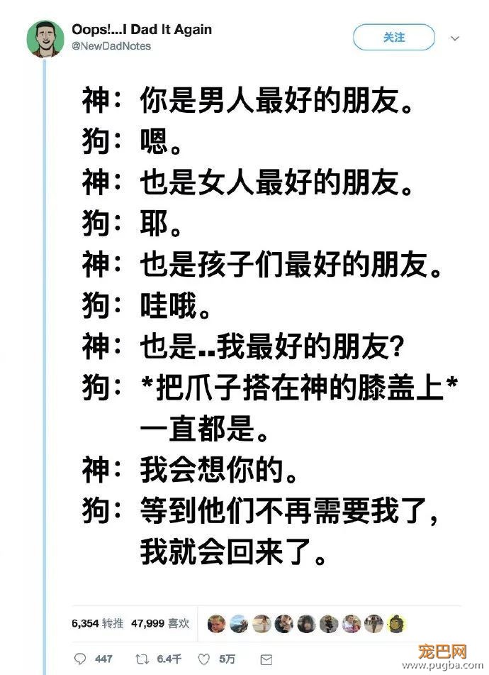 狗狗在降临人间前，神是这样嘱咐它的……-1.jpeg