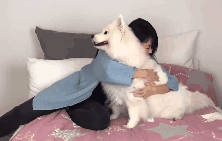 国外网友集体做了一个试验，证明狗子的心里只有你！-15.gif