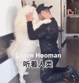 国外网友集体做了一个试验，证明狗子的心里只有你！-18.gif