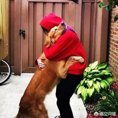 人和狗狗会生情吗？-1.jpeg