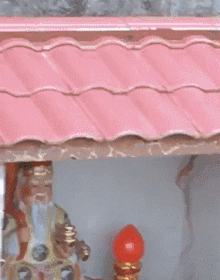 俩流浪土狗在土地庙靠吃蹭喝半年，网友：这智商没谁了！-2.gif