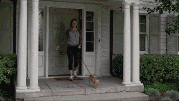 狗狗，我的狗狗就这么飞走了~-1.gif