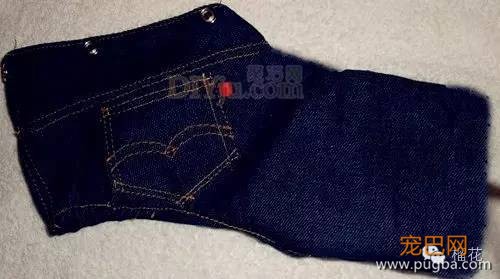 用废旧牛仔裤怎么制作狗狗牛仔套装衣服图解教程-2.jpeg