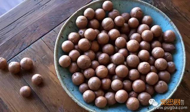狗狗不能吃的食物，你确定全部知道吗？-5.jpeg