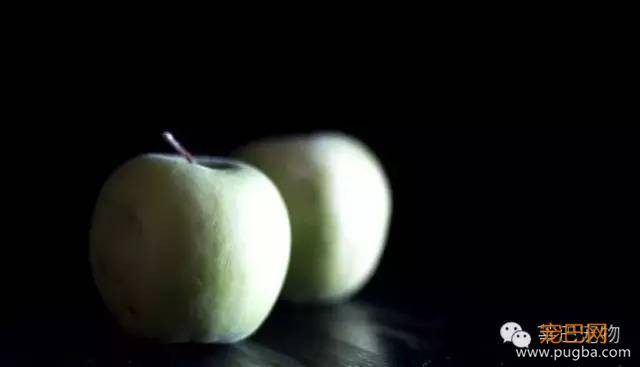 狗狗不能吃的食物，你确定全部知道吗？-9.jpeg