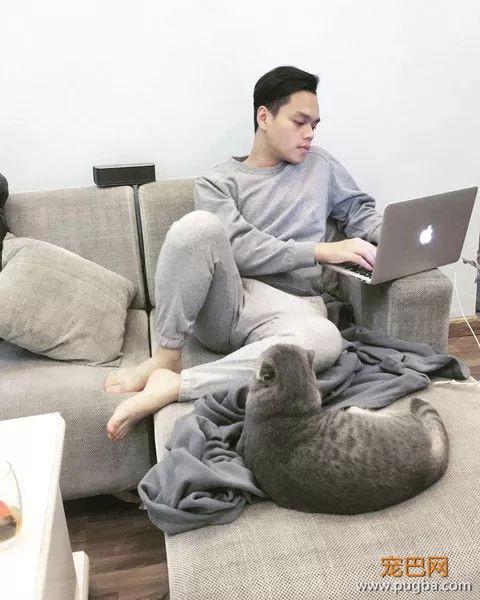不都说猫咪很高冷吗？我家这只什么鬼？做饭都要抱着！-2.jpeg