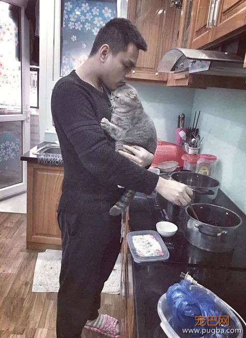 不都说猫咪很高冷吗？我家这只什么鬼？做饭都要抱着！-4.jpeg