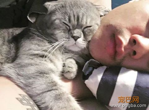 不都说猫咪很高冷吗？我家这只什么鬼？做饭都要抱着！-3.jpeg