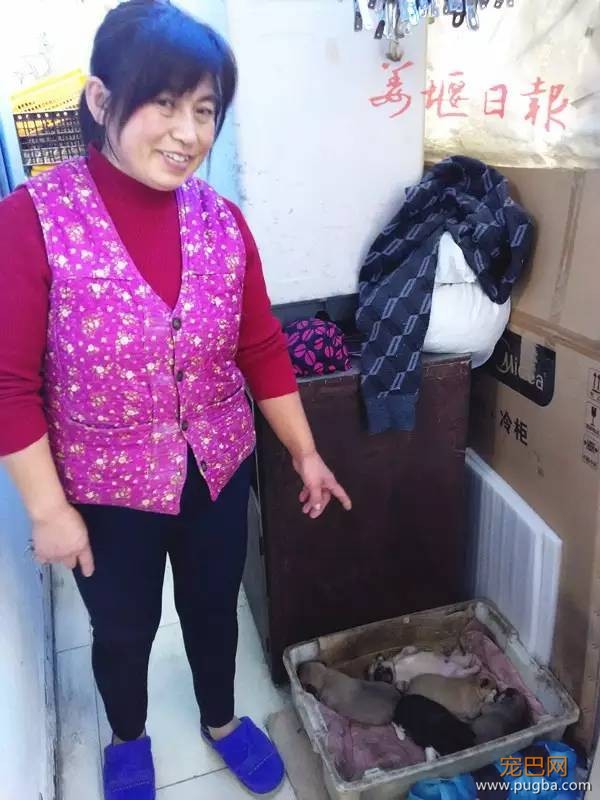 天生只有三条腿的狗狗你见过么？（内附视频）-3.jpeg