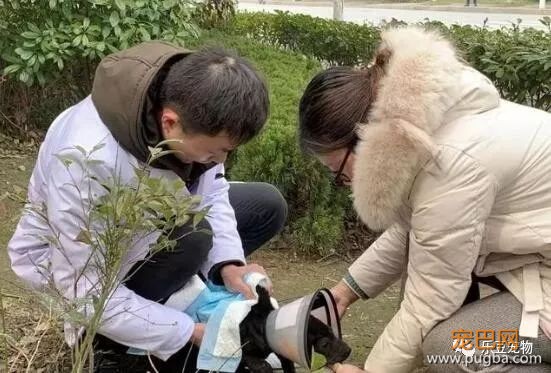 流浪狗被打致双腿血肉模糊，一名记者放下手中的相机走了过去！-6.jpeg