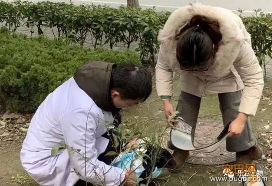流浪狗被打致双腿血肉模糊，一名记者放下手中的相机走了过去！-5.jpeg