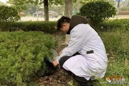 流浪狗被打致双腿血肉模糊，一名记者放下手中的相机走了过去！-4.jpeg