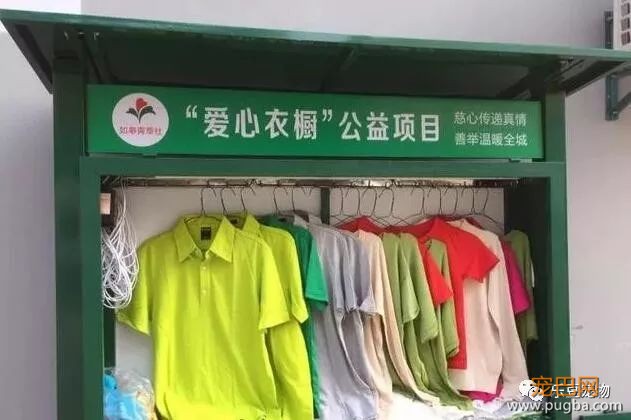 流浪狗被打致双腿血肉模糊，一名记者放下手中的相机走了过去！-13.jpeg