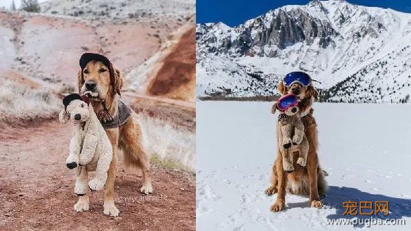金毛入选导盲犬后抑郁了，被开除后当起了旅游博主...超嗨皮！-22.jpeg