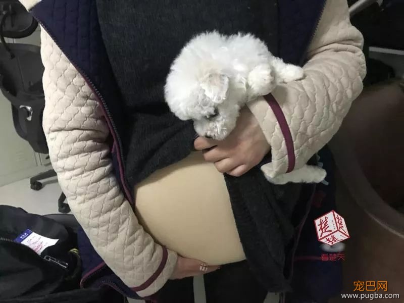 女大学生挺着肚子乘机，“胎动”太厉害惊得安检员报警！结果……-5.jpeg