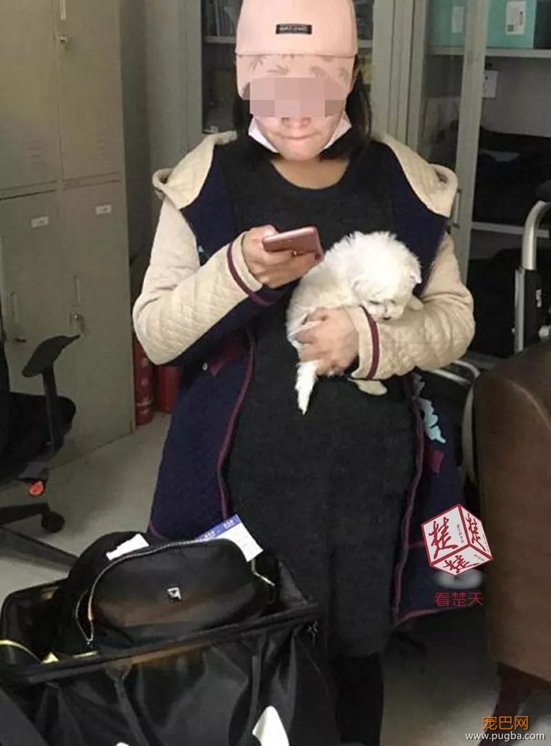 女大学生挺着肚子乘机，“胎动”太厉害惊得安检员报警！结果……-6.jpeg