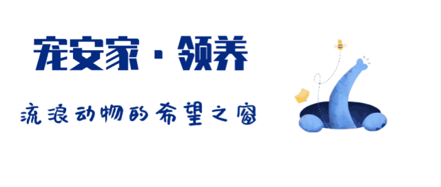 拆迁——你带走了所有，却唯独忘了我-1.gif