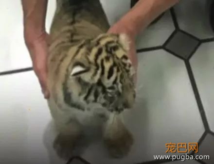 地铁中警犬发现一神秘箱子，警察打开后警犬连连后退……-4.jpeg