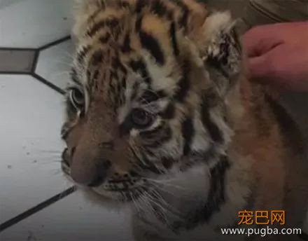 地铁中警犬发现一神秘箱子，警察打开后警犬连连后退……-5.jpeg