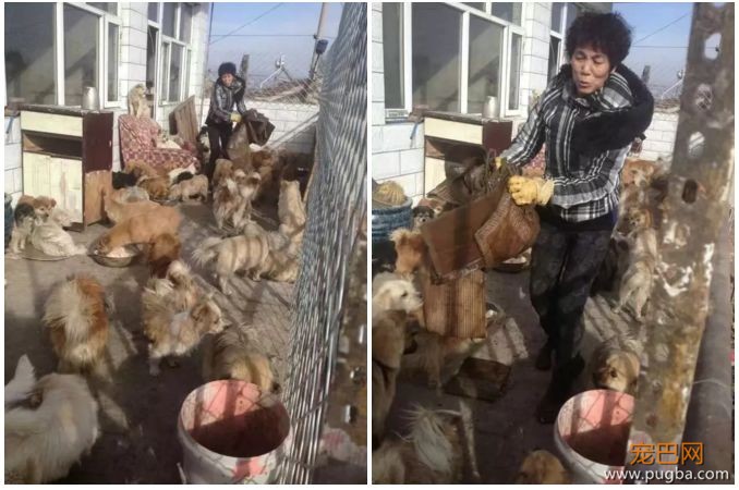 那只曾被砍了7刀可爱小花，现在还好吗？-12.jpeg