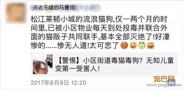 天冷了，上海有群“原始人”要开狗肉派对？-10.jpeg