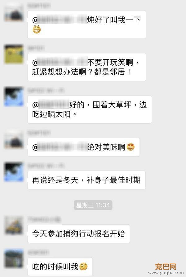 天冷了，上海有群“原始人”要开狗肉派对？-7.jpeg