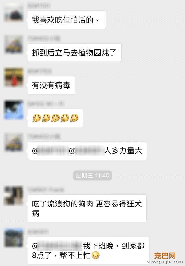 天冷了，上海有群“原始人”要开狗肉派对？-8.jpeg