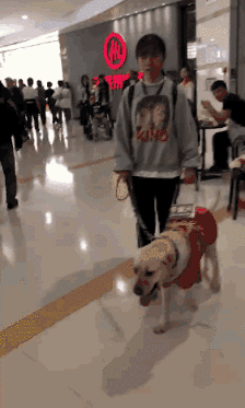 合肥首只导盲犬乘坐交通工具被拒：你要带狗上，我就不开车！-5.gif