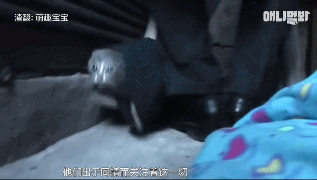 她不知妈妈死了，把捡到的肉喂给妈妈，自己胃里全是石头···-13.gif