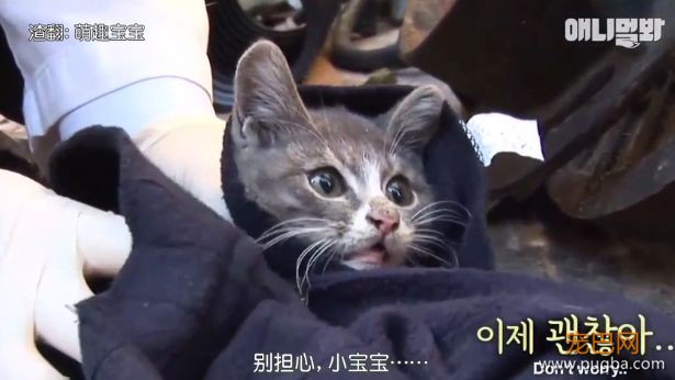她不知妈妈死了，把捡到的肉喂给妈妈，自己胃里全是石头···-14.jpeg